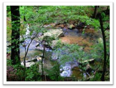 pine log creek trail open